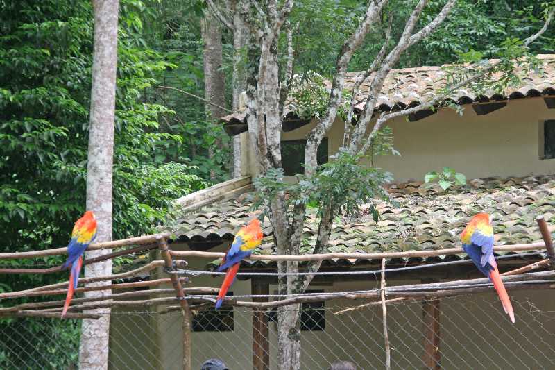 Mexico & Guatemala 2010 - 0897